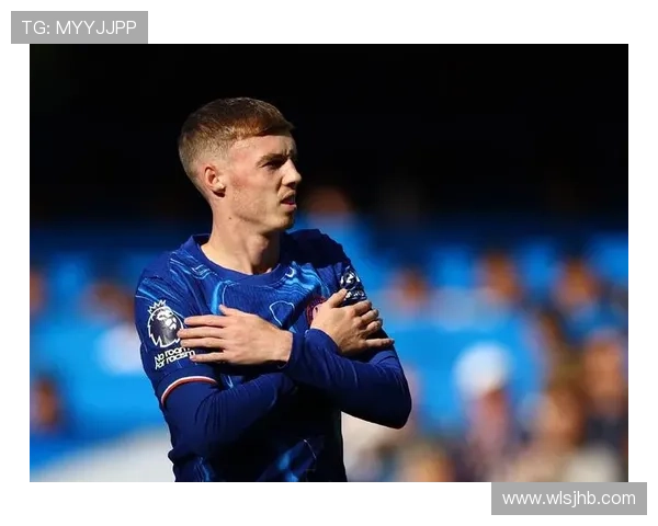 帕尔默真实进攻能力解析：终结效率与战术参与度