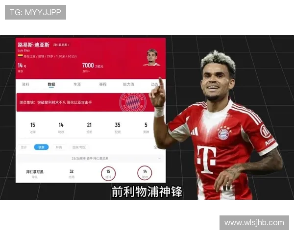 世界杯K组出线争夺观察